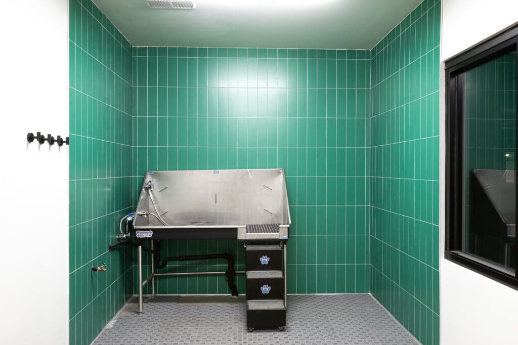 A clean autopsy room with a stainless steel autopsy table, green tiled walls, a small window, and overhead lighting.