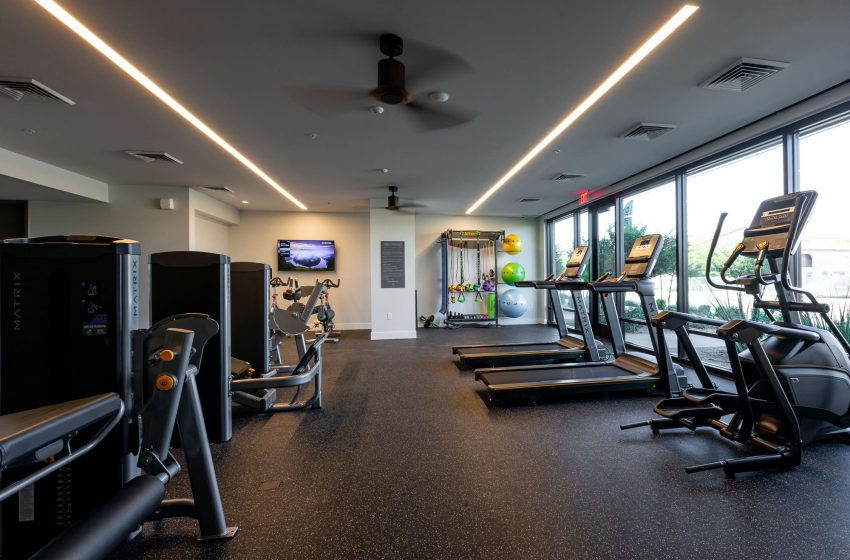 Modern gym interior with treadmills, exercise bikes, weight machines, and stability balls, featuring floor-to-ceiling windows and bright lighting.