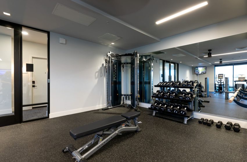 Modern gym interior with dumbbells, bench, and cable machines, featuring large windows and a clean, spacious design.