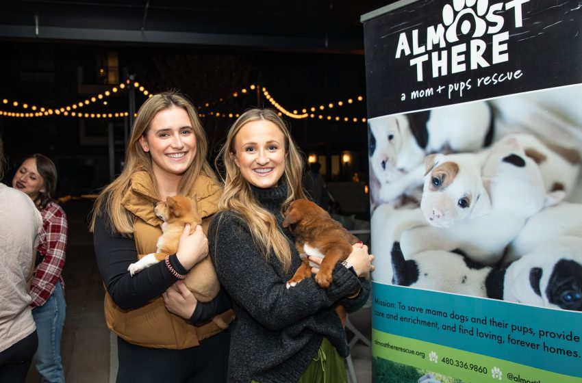 Two women holding puppies stand next to a "almost there — a mom and pups rescue" banner at an outdoor adoption event with string lights above.