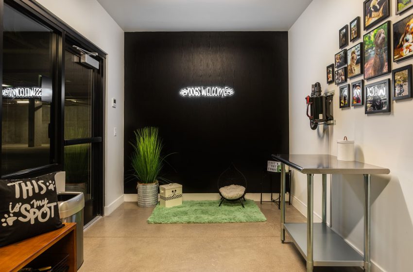 A modern office lobby featuring a black accent wall with white graffiti, a green area rug, a hanging chair, and framed album covers on adjacent walls.